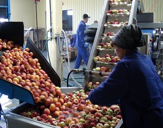 На Херсонщині відкрили завод з виробництва яблучного соку